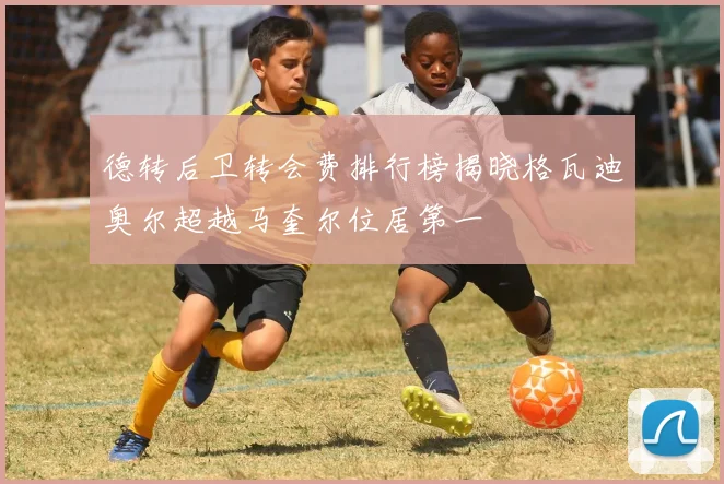 德转后卫转会费排行榜揭晓格瓦迪奥尔超越马奎尔位居第一