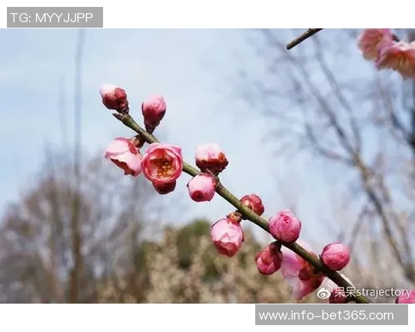 克莱深情命名小船冬梅展现爱的执着与温暖 克莱深情命名小船冬梅展现爱的执着与温暖